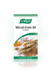 Wheat Germ Oil 120 capsules